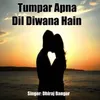 About Tumpar Apna Dil Diwana Hain Song